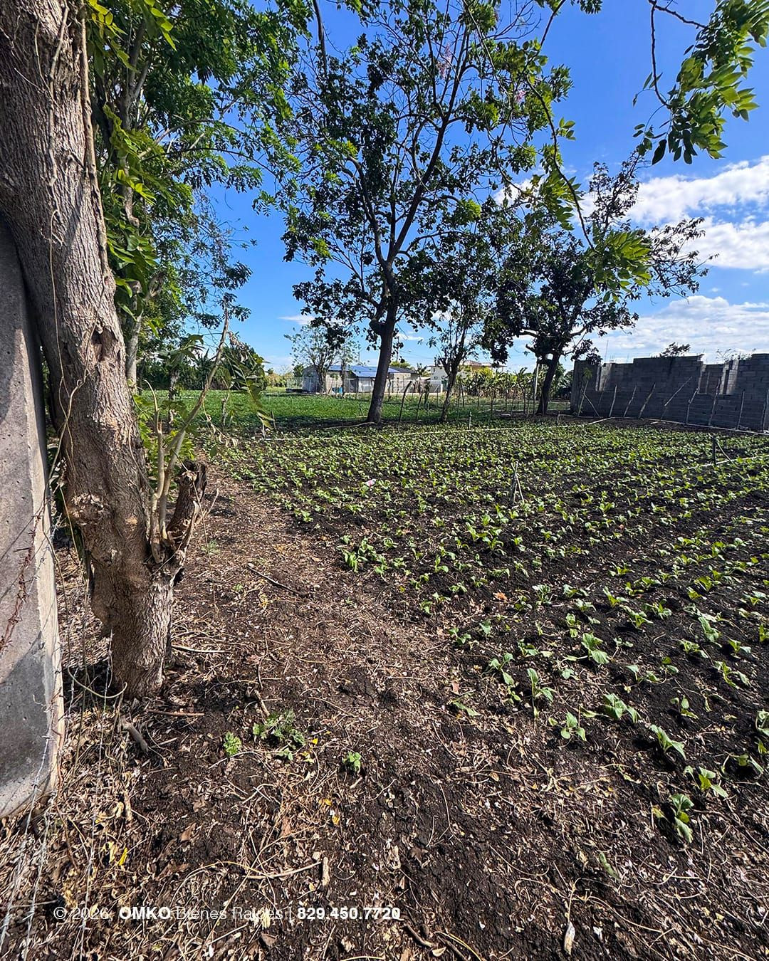 Property view 3
