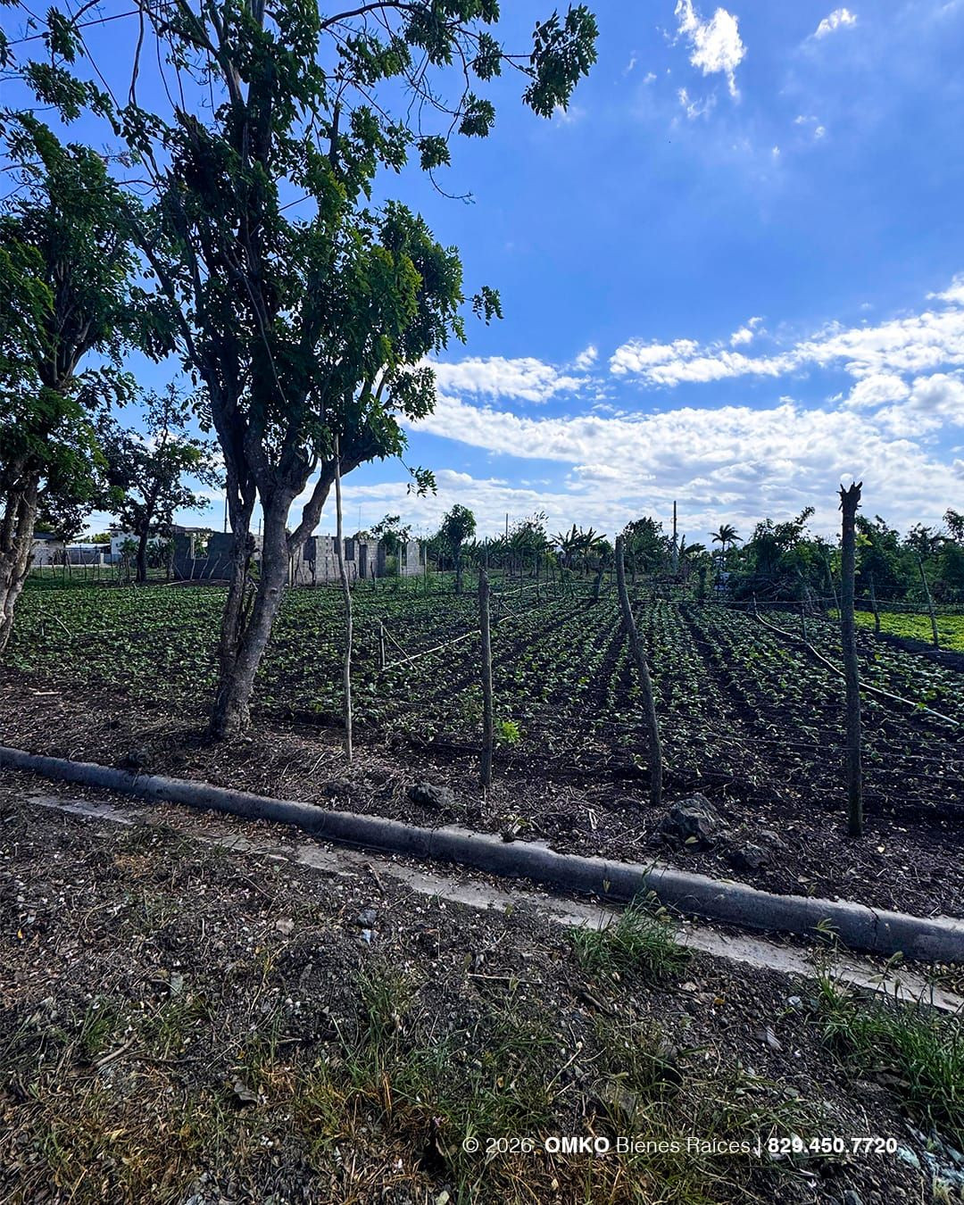 Property view 2