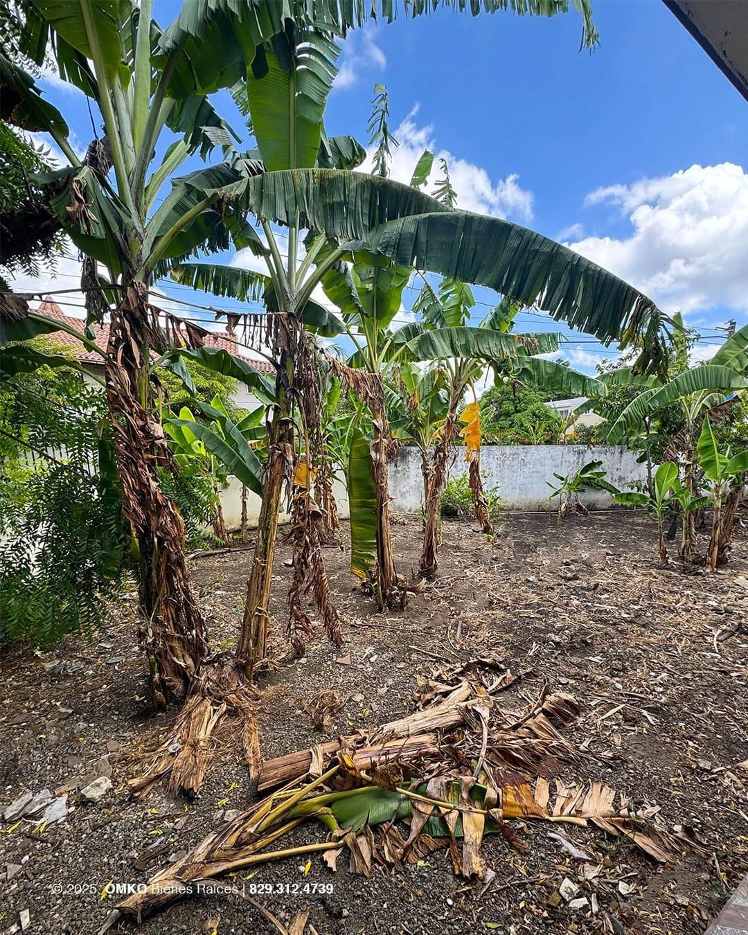 Property view 6