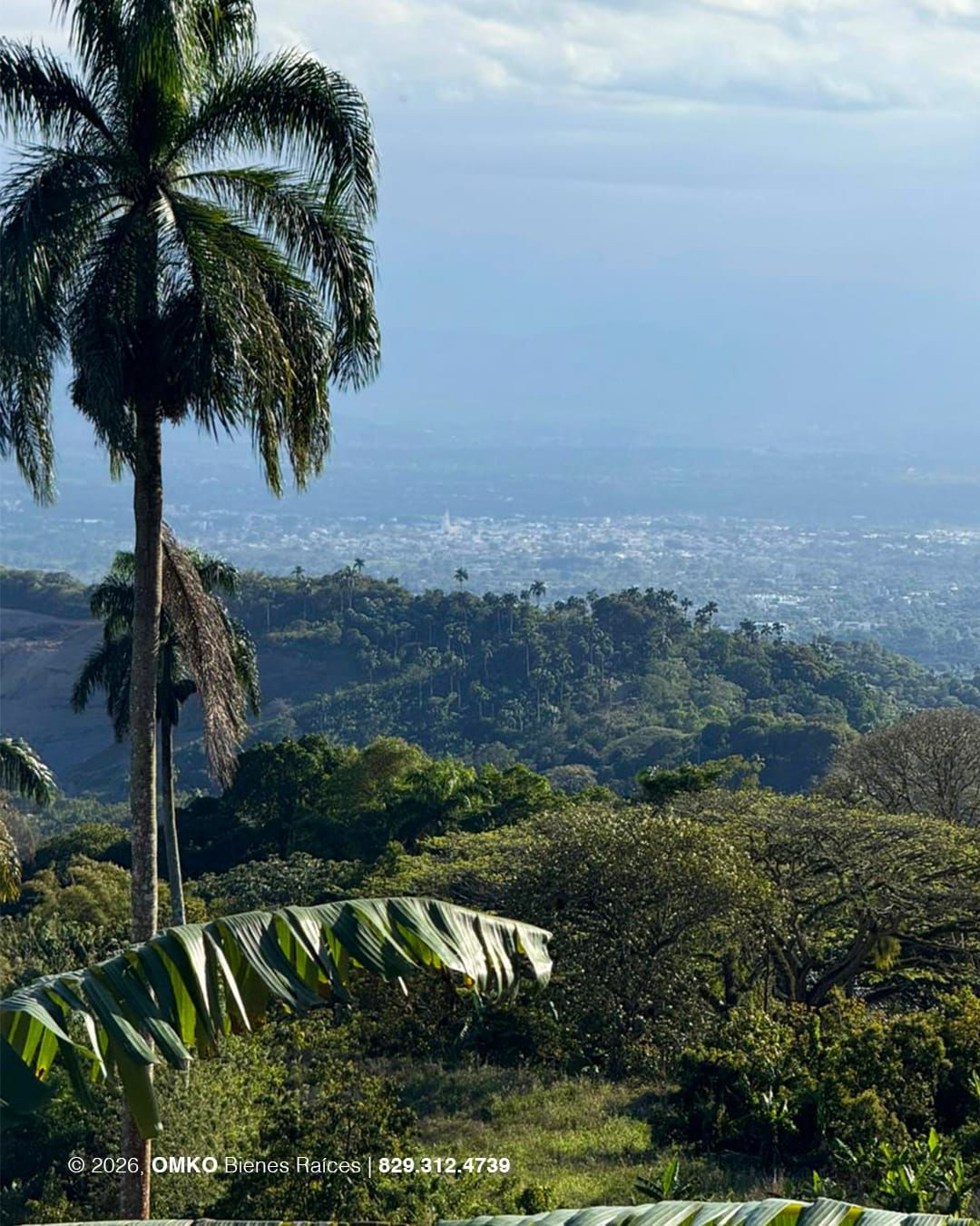 Property view 3