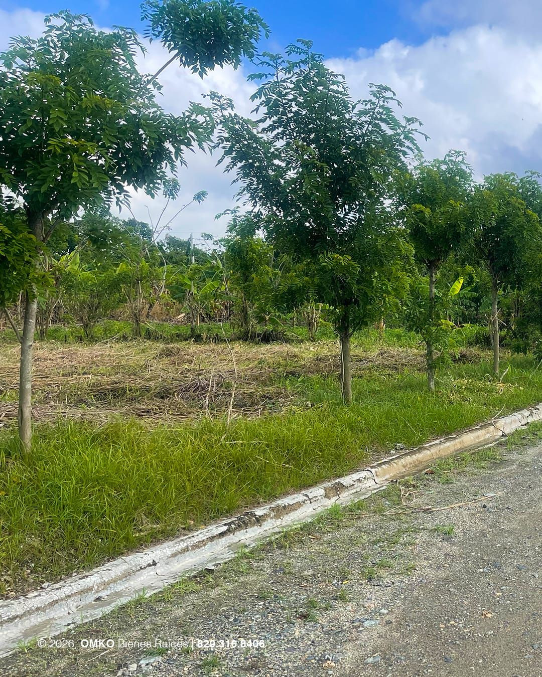 Property view 3
