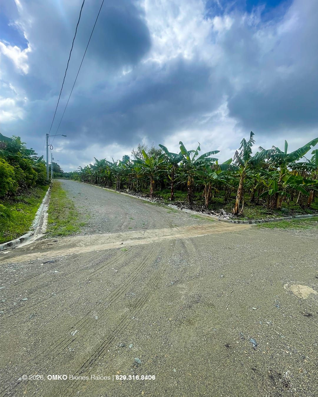 Property view 1