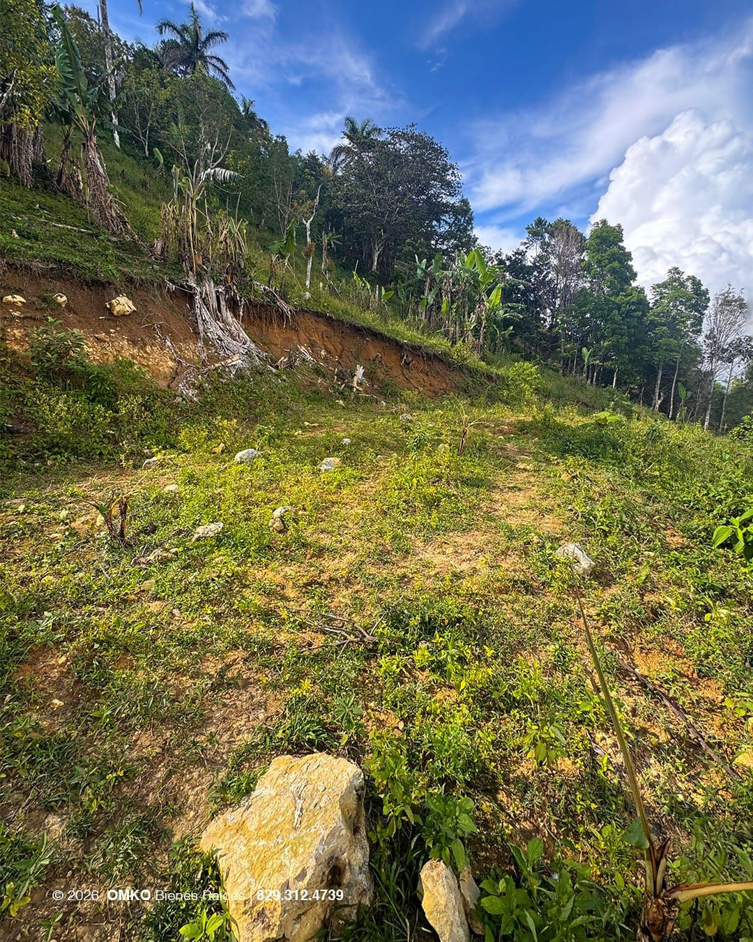 Property view 2