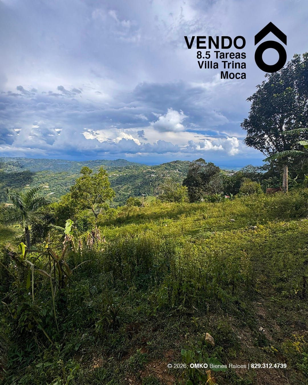 Property view 3