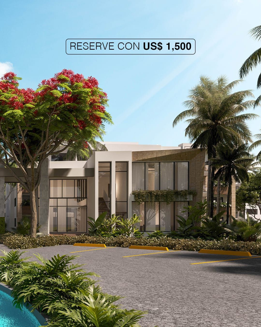 Property view 6