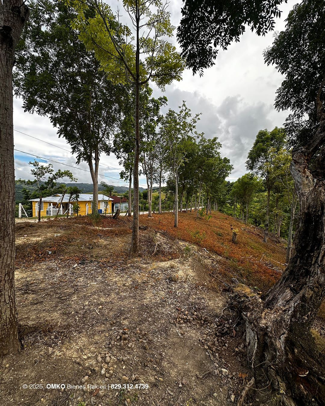 Property view 2