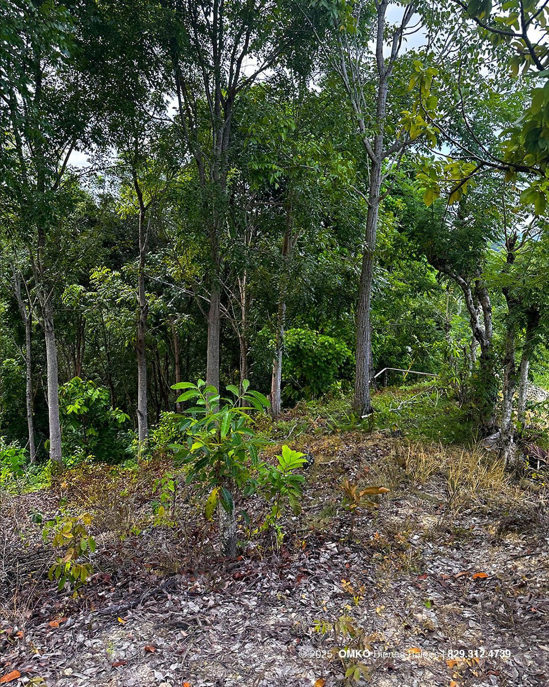 Property view 9