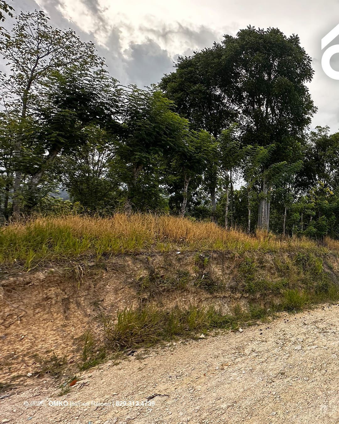 Property view 8