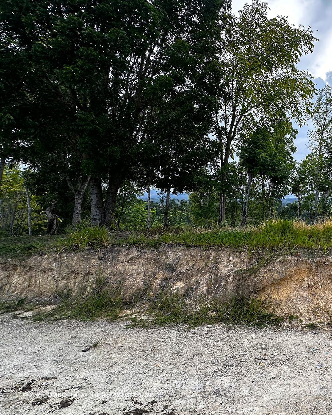 Property view 6