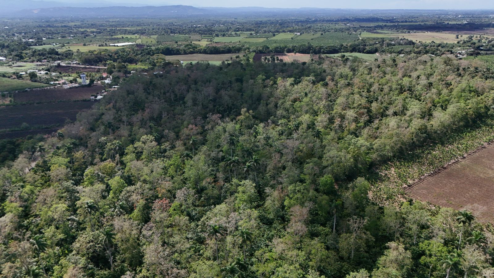 Property view 1