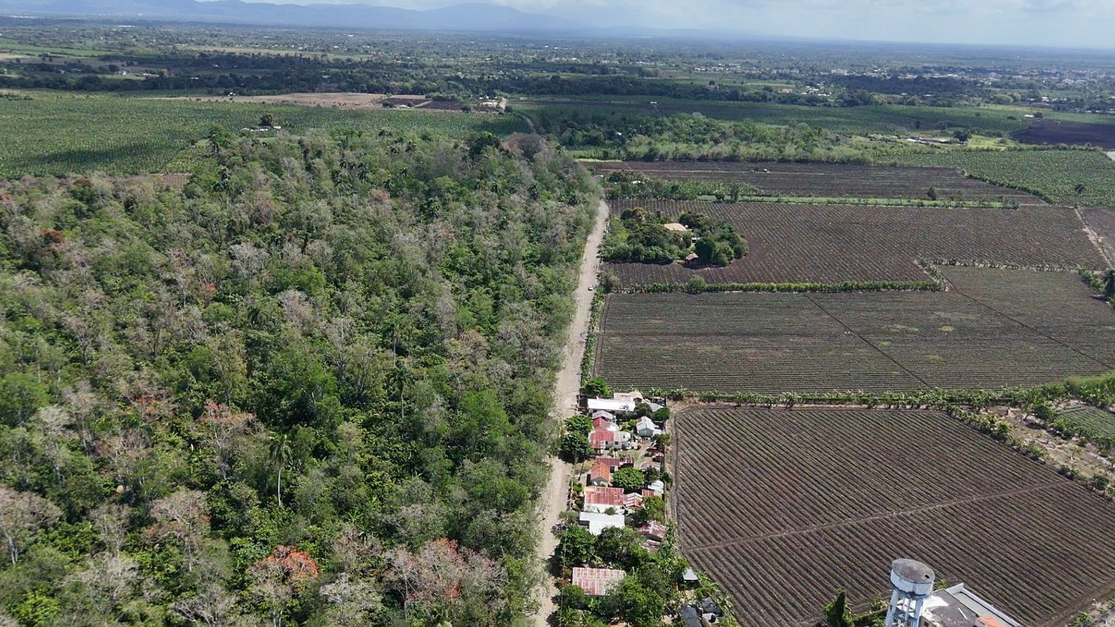 Property view 2