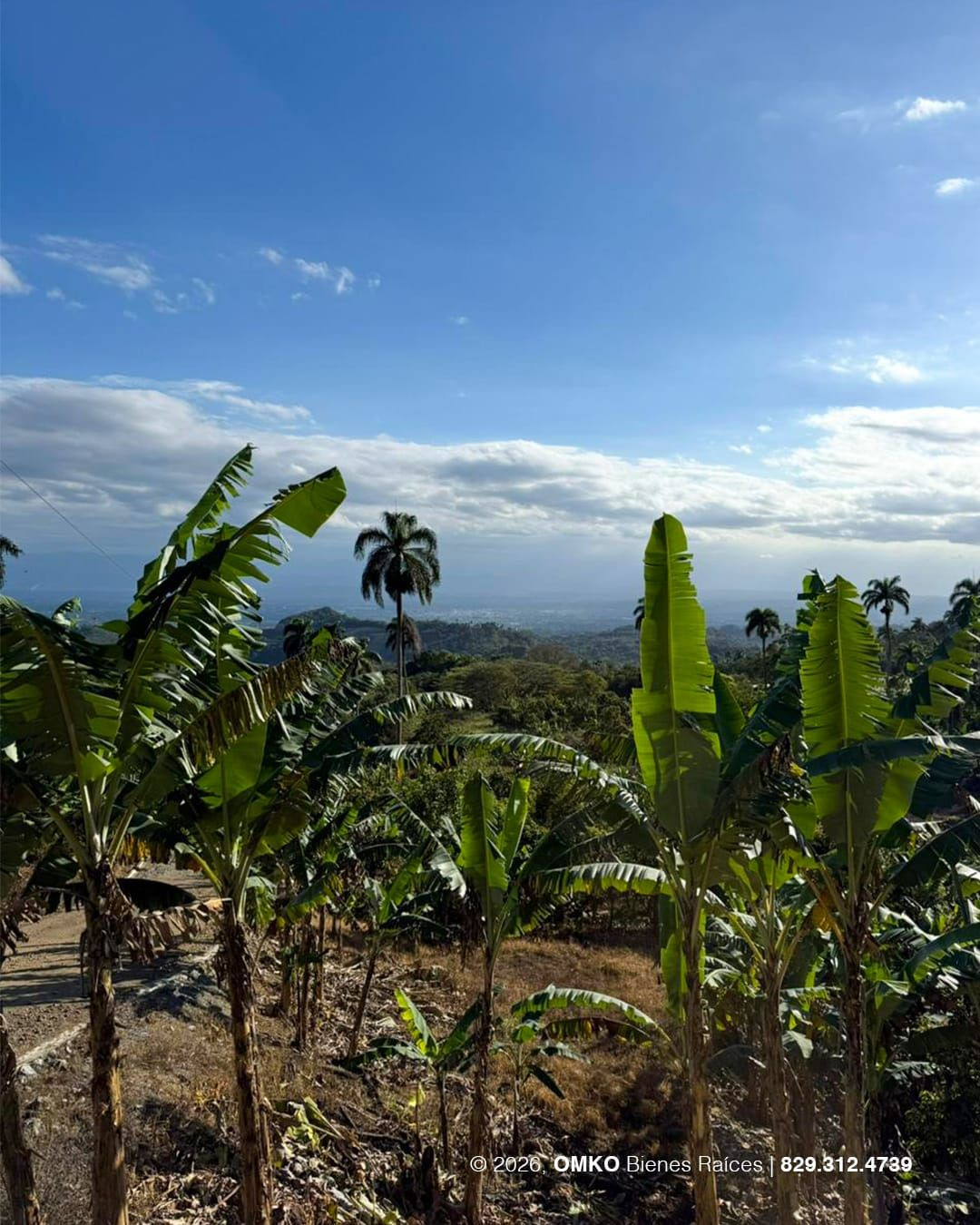Property view 3
