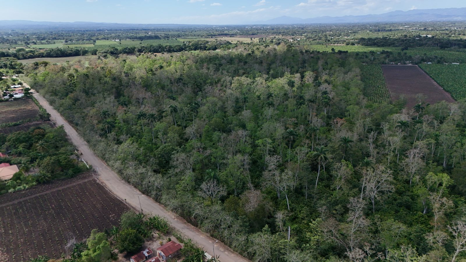 475 Tareas - Cacao - En borde de Pista - Villa Tapia