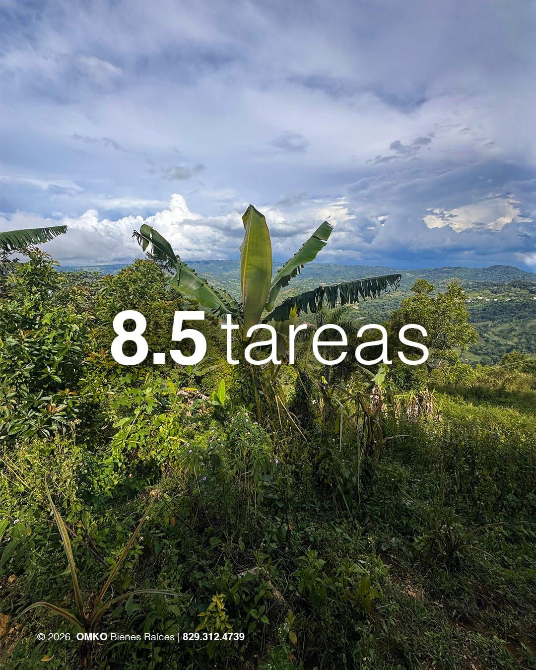 Villa Trina 8.5 Tareas